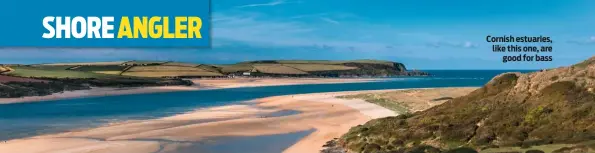  ??  ?? Cornish estuaries, like this one, are good for bass