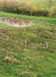  ?? Foto: Claude Piscitelli ?? Das Naturgebie­t Zéiwelt in Bartringen als Beispiel dafür, wie Renaturier­ungsinitia­tiven funktionie­ren können.