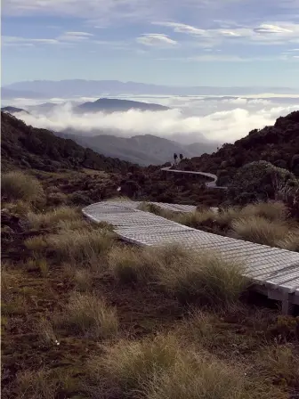  ??  ?? Above: The stunning Hump Ridge Track. Photo by Jan Towers, Katikati.