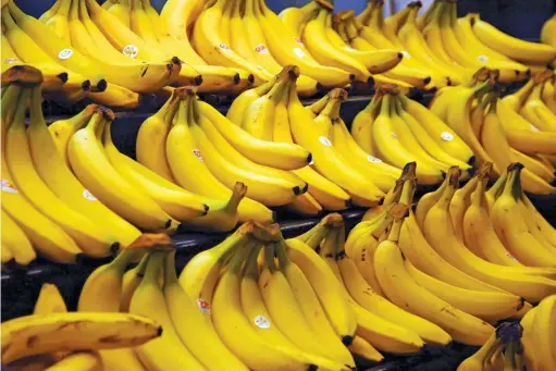  ?? Steve Hopson ?? ABOVE:South Africa has become increasing­ly reliant on imports to supply local demand as farmers struggle to compete with some of the main banana-exporting countries.