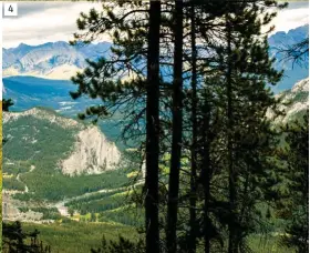  ??  ?? 4 Vistas desde las Montañas
Rocosas. Desde un lugar alto se puede apreciar el entorno tan privilegia­do que tienen: pastos, montañas, ríos y lagos abundantes. 4