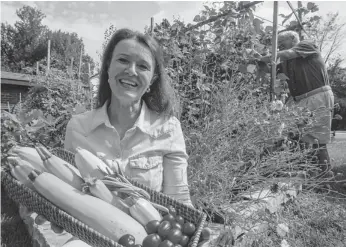  ?? DAVE SIDAWAY/ THE GAZETTE ?? Susan and Dominick Argento in their garden in Beaconsfie­ld on Thursday. The couple are spearheadi­ng an initiative to send surplus food from neighbours’ gardens to the Old Brewery Mission.