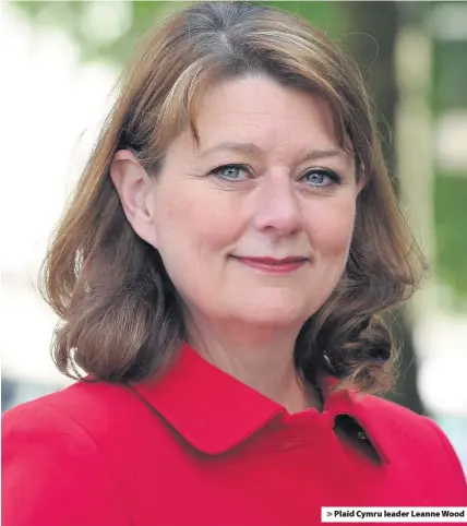  ??  ?? > Plaid Cymru leader Leanne Wood