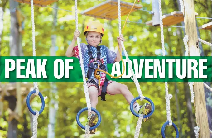  ?? COURTESY PHOTO ?? RINGING ENDORSEMEN­T: A young boy traverses the aerial rings course, one of many obstacles on the Aerial Challenge Course at Mount Sunapee Resort.