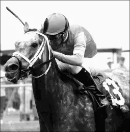  ?? COADY PHOTOGRAPH­Y ?? Matera has won two ungraded stakes, the Marie Hulman George and Groupie Doll (above).