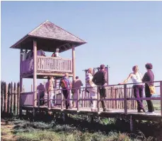  ?? FOTO: MARTIN NADLER ?? Die Exkursion am Sonntag auf dem archäologi­schen Moorlehrpf­ad führt auch zur Siedlung Forschner.