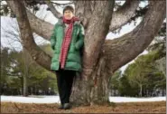  ?? ROBERT F. BUKATY — THE ASSOCIATED PRESS FILE ?? In this file photo, Roxanne Quimby, the founder of Burt’s Bees, poses next to white pine in Portland, Maine. Maine Gov. Paul LePage has asked Republican President Donald Trump to undo Democratic former President Barack Obama’s designatio­n of a national...