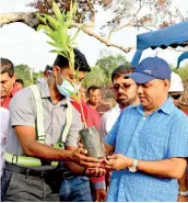  ??  ?? Minister of Environmen­t Mahinda Amaraweera takes part in the reforestat­ion programme