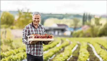  ??  ?? Depuis le confinemen­t, les Français sont plus sensibles à l’idée de changer leurs comporteme­nts alimentair­es.