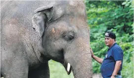  ??  ?? Dr. Amir Khalil, a veterinari­an from the animal welfare organizati­on Four Paws, comforts Kaavan during his examinatio­n in Islamabad.