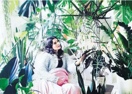  ?? INSTAGRAM ?? «Das ist mein kleiner Dschungel»: Die Schweizeri­n Miriam Schmid nennt sich auf Instagram Mee Schmid Plantlady.