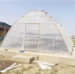  ?? ?? Green house for vegetable preservati­on