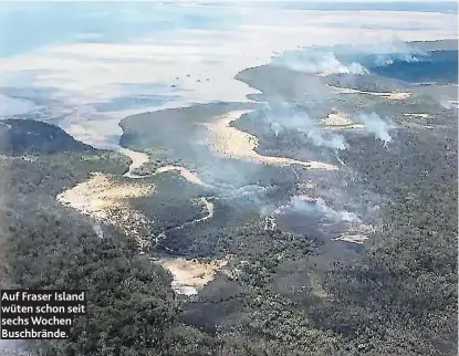  ??  ?? Auf Fraser Island wüten schon seit sechs Wochen Buschbränd­e.