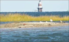  ?? Erik Trautmann / Hearst Connecticu­t Media ?? Long Beach Island in Norwalk earlier this month.