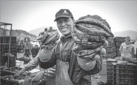  ?? PHOTO BY ZHENG CHENGLE/PROVIDED TO CHINA DAILY ?? Fisherman showcases abalones in Lianjiang county, Fujian province.