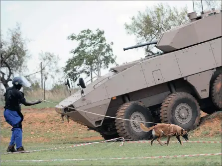  ?? PHOTO: DUMISANI SIBEKO ?? A specially trained sniffer dog during a defence and security display by Denel Land System. The company, in its annual report tabled in Parliament yesterday, says that it has been given a positive outlook by ratings agency Fitch Ratings.