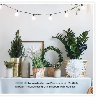  ??  ?? GREEN LIFE Schneefloc­ken aus Papier und ein Mini-Lichterbau­m machen das grüne Stillleben weihnachtl­ich.