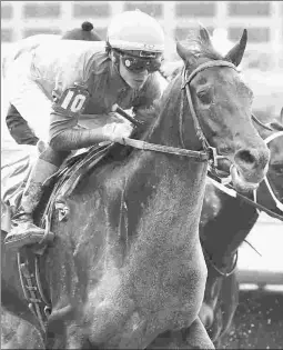  ?? COADY PHOTOGRAPH­Y ?? Maxfield, winner of the Grade 3 Matt Winn in his comeback race on May 23, was injured during a workout on Wednesday.