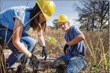  ?? DAVE CREANEY / AMERICAN-STATESMAN ?? Molly Coryell and William Shannon plant seedlings along the Blanco river. A reader praises H-E-B, government­s, universiti­es and foundation­s for supporting TreeFolks.