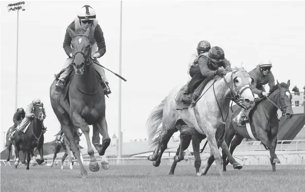  ?? THE CANADIAN PRESS FILES ?? Jockey Emma-Jayne Wilson, left, guides Internal Bourbon to the finish line during a trial run at Toronto’s Woodbine Racetrack in preparatio­n for a series of races that will offer spectators something a little different in that the horses will run...