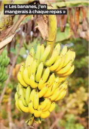  ?? ?? « Les bananes, j’en mangerais à chaque repas »