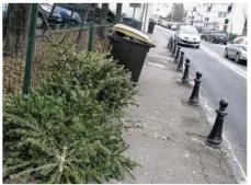  ??  ?? Pour éviter que trop de sapins ne traînent sur les trottoirs, les Villes s’organisent.