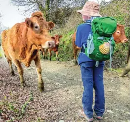  ?? ?? La agricultur­a y la ganadería son parte esencial de estas comarcas