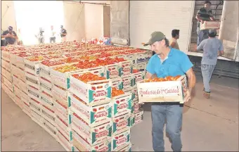  ??  ?? Parte del cargamento de tomate de contraband­o incautado en Mariano Roque Alonso.