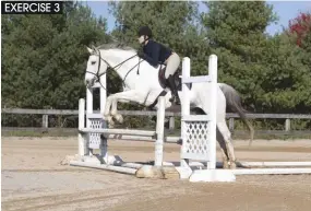  ??  ?? When you’ve done the correct preparatio­n, jumping oxers will really improve your horse’s style.