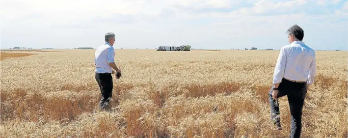  ??  ?? En Pehuajó. Los funcionari­os recorren un establecim­iento con rindes excepciona­les en el caso del trigo. Esperan una cosecha de 19,7 millones de toneladas.