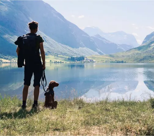  ??  ?? MARCUS Weiden was a successful banker for 22 years before he decided that he wanted to give up his profession to road-trip across the world with his dog. Here, he and Frieda take in the view during one of their hiking trips at the Geiranger Fjord and ice fields at Juvaspass, Norway.