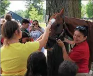  ?? PAUL POST — PPOST@DIGITALFIR­STMEDIA.COM ?? Young people gather to give Tammy Lynch’s lead pony, Wish, an affectiona­te pat on the nose.