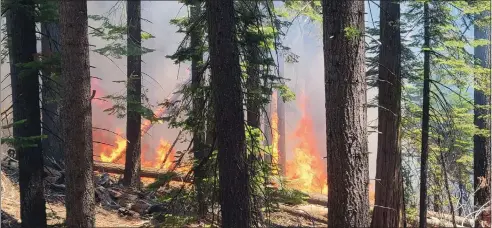  ?? NATIONAL PARK SERVICE VIA AP ?? The Washburn Fire burns near the lower portion of the Mariposa Grove in Yosemite National Park on Thursday. As of Friday night, a total of 209 personnel were assigned to the fire.