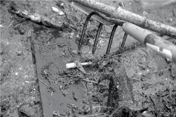  ??  ?? US. In this Wednesday June 7, 2017 photo, activist Rocky Morrison, of the "Clean River Project" uses a rake to reach for a discarded hypodermic needle while examining a boom filled with waste collected from a recovery boat on the Merrimack River in...