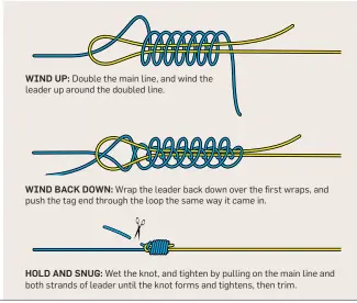 CASTABLE LEADER KNOTS - PressReader