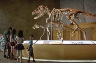  ?? —AFP ?? This picture taken on July 2, 2016 shows people visiting a museum displaying dinosaur fossils returned from overseas in Ulan Bator.
