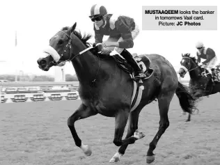  ??  ?? MUSTAAQEEM looks the banker in tomorrows Vaal card. Picture: JC Photos