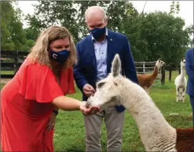  ?? The Canadian Press ?? Conservati­ve Leader Erin O’Toole and his wife, Rebecca, feed some llamas as they visit a farm that uses animal therapy to treat mental health issues Wednesday in Brantford, Ont.