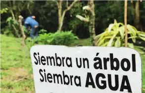  ?? CORTESÍA MINAE ?? Dos objetivos del proyecto son mejorar la calidad del agua y proteger las especies de flora y fauna que hay en la zona.