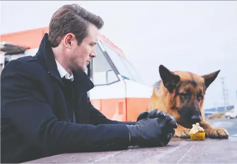  ?? PHOTOS: CITYTV ?? He’s the kind of wounded character fans love: Rex, that is, played by German shepherd Diesel vom Burgimwald in the Citytv series Hudson & Rex. The canine stars alongside John Reardon, who plays the other title character. “He hits his mark better than I do,” Reardon says.