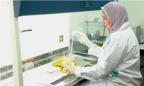 ??  ?? Prof Aini is actively involved in research related to the control of poultry diseases and developing vaccines.