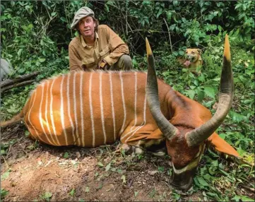  ??  ?? Sous la canopée camerounai­se avec un emblématiq­ue bongo.