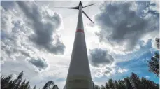  ?? ARCHIVFOTO: DPA/ARMIN WEIGEL ?? Nachdem der Petitionsa­usschuss des Landtags eine Entscheidu­ng über den geplanten Windpark „Rosenberg Süd“vertagt hat, sollen jetzt die Baumfällar­beiten anlaufen.