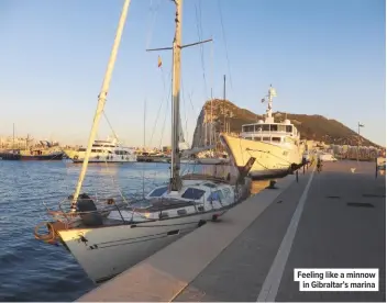  ??  ?? Feeling like a minnow in Gibraltar’s marina