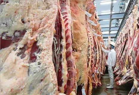  ?? ?? CARNE.
Las exportacio­nes de productos agropecuar­ios (entre ellas, la carne lidera) están impulsando a la economía uruguaya en lo que va del año.