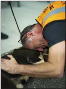  ?? ?? Maad Abu-ghazalah, owner of Daily Hugz rescue sanctuary in Israel’s West Bank, greets one of the dogs he rescued at the airport in New York on March 15. The ARK is a 14-acre facility.