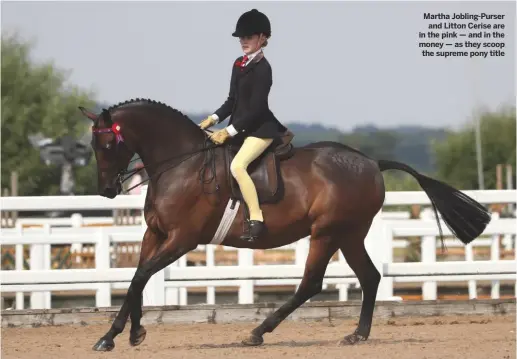  ??  ?? Martha Jobling-Purserand Litton Cerise are in the pink — and in the money — as they scoop the supreme pony title