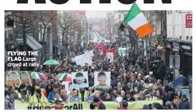  ??  ?? FLYING THE FLAG Large crowd at rally