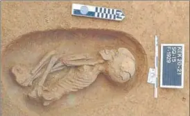  ?? REUTERS ?? A human skeleton from a newly-discovered tomb at the Nile Delta, in Mansoura, Egypt.