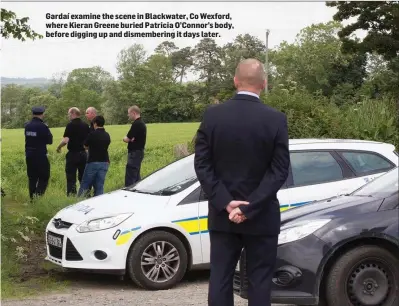  ??  ?? Gardaí examine the scene in Blackwater, Co Wexford, where Kieran Greene buried Patricia O’Connor’s body, before digging up and dismemberi­ng it days later.
